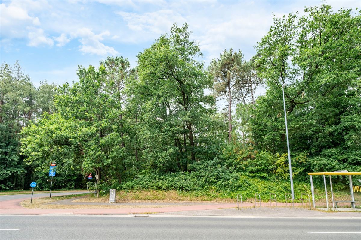 Bouwgrond