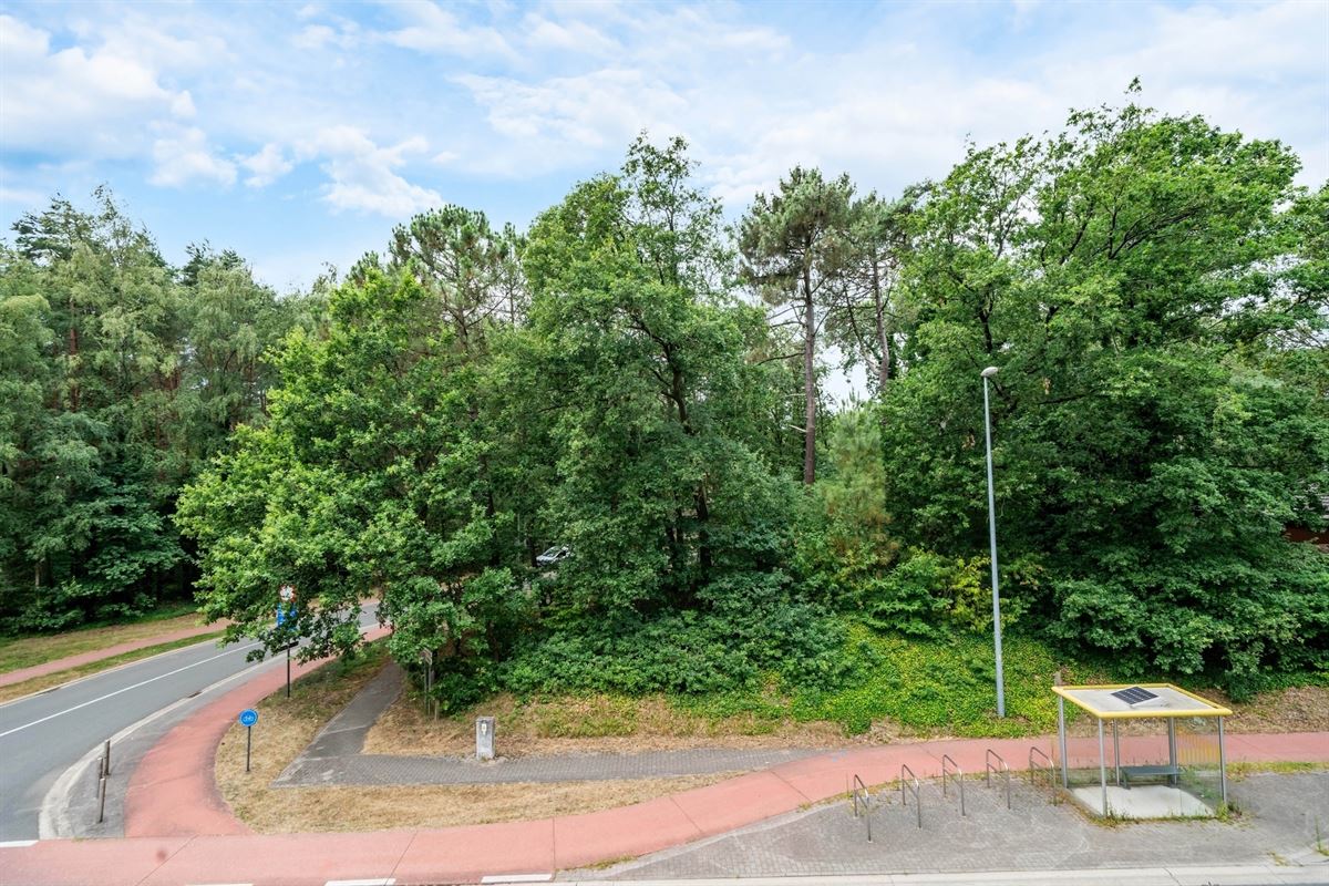 Bouwgrond