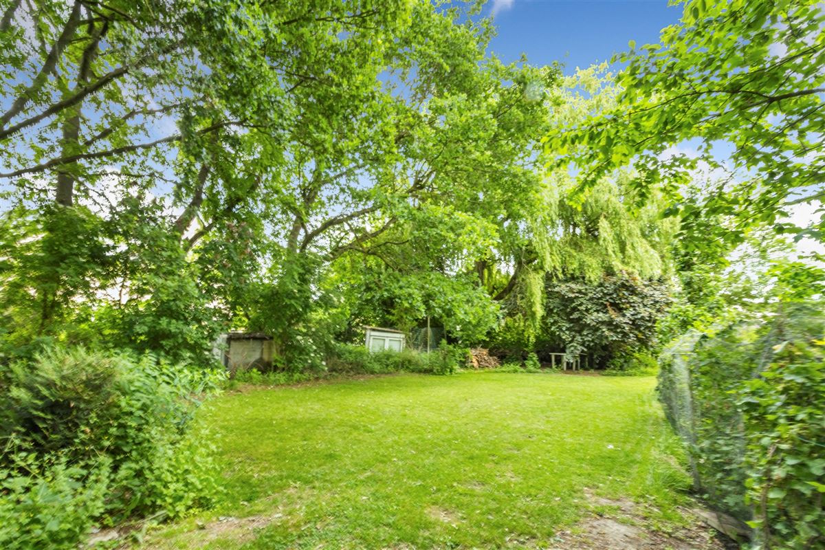 Splendide terrain arboré dans une rue paisible