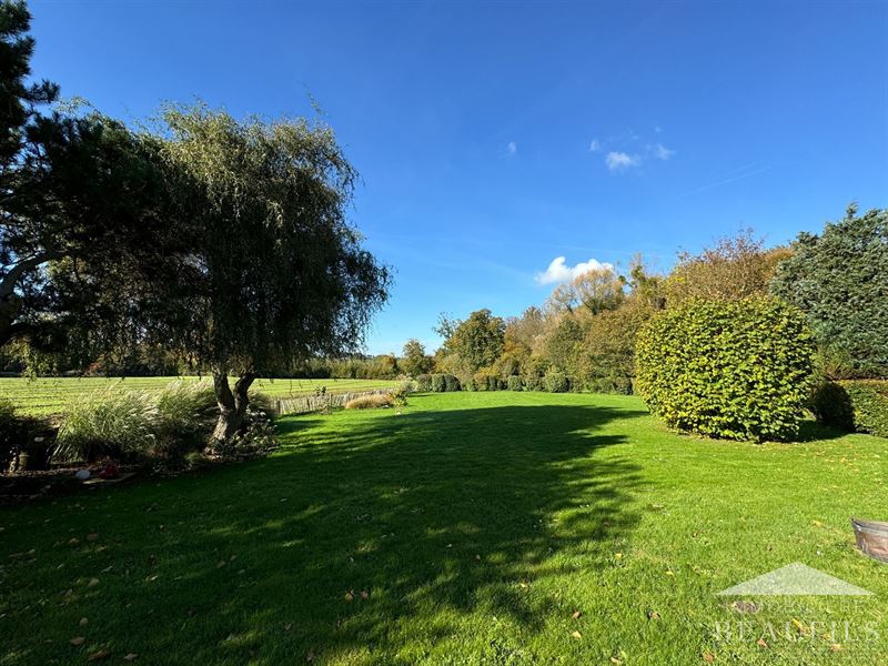 Image 23 : Maison à 7181 ARQUENNES (Belgique) - Prix 1.700 &euro;