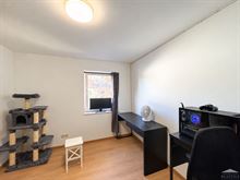 Image 9 : Maison à 6220 FLEURUS (Belgique) - Prix 1.350 € Image 9 : Maison à 6220 FLEURUS (Belgique) - Prix 1.350 €