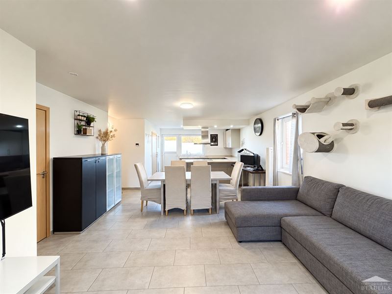 Image 4 : Maison à 6220 FLEURUS (Belgique) - Prix 1.350 &euro;
