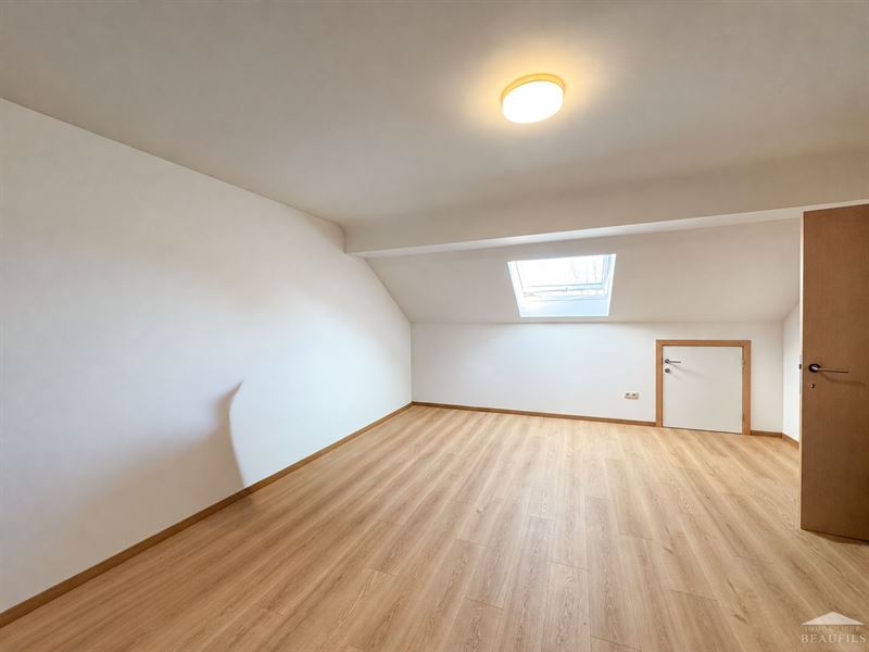 Image 10 : Maison à 6220 FLEURUS (Belgique) - Prix 1.350 &euro;