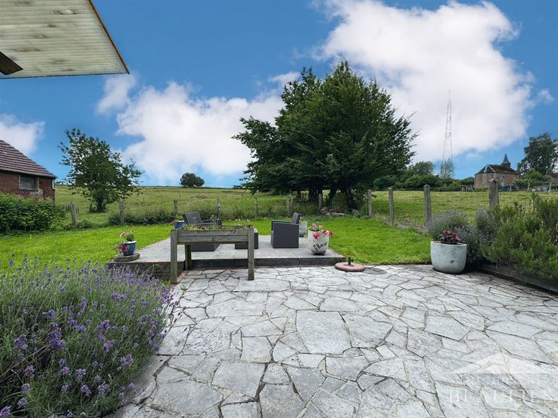 Image 3 : Maison à 6230 OBAIX (Belgique) - Prix 430.000 &euro;