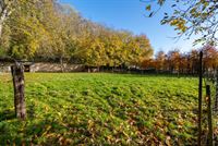 Image 28 : Maison à 4690 EBEN-EMAEL (Belgique) - Prix 