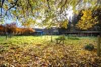 Image 27 : Entrepôt à 4690 EBEN-EMAEL (Belgique) - Prix 