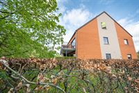 Image 29 : Appartement à 4053 EMBOURG (Belgique) - Prix 