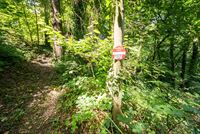 Image 11 : Maison à 4130 TILFF (Belgique) - Prix 