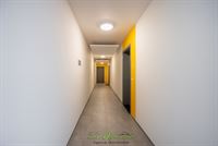 Image 13 : Appartement à 4630 AYENEUX (Belgique) - Prix 