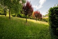 Image 11 : Terrain à 4170 ONEUX (Belgique) - Prix 50.000 &euro;