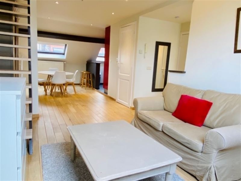 Appartement meublé tt confort au Chatelain