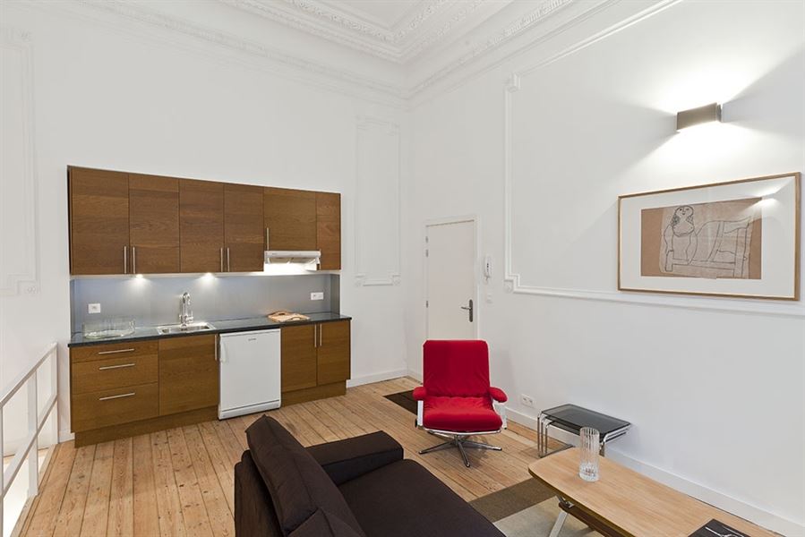 Designer furnished apartment in perfect condition