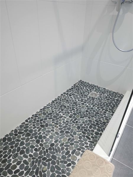 Appartement meublé au coeur du Chatelain