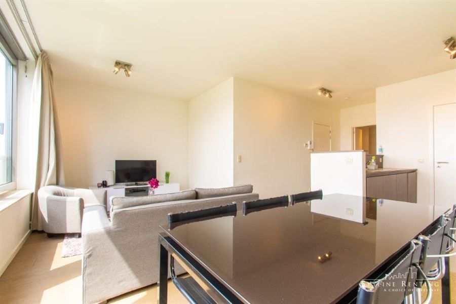 Furnished apartment in the center of Brussels