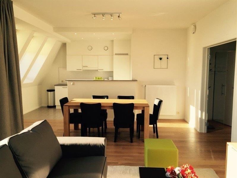 Appartement récent meublé quartier Roosevelt