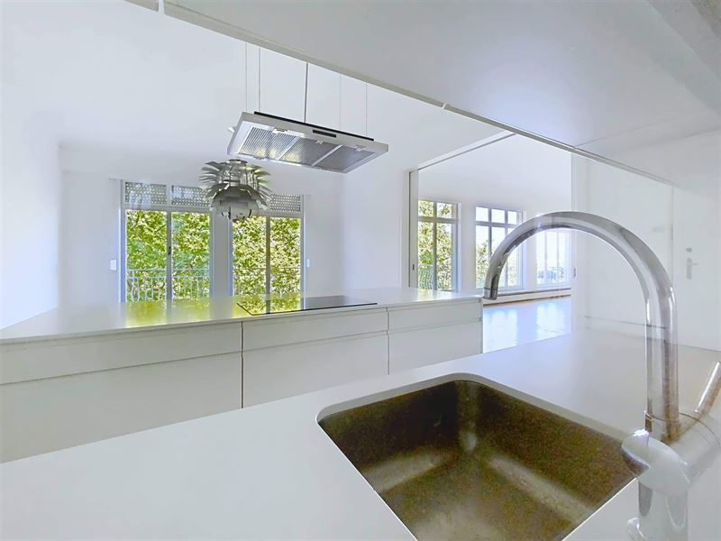 Louise nabij het Terkamerenbos. Prachtig klasse appartement volledig gerenoveerd in een hedendaagse stijl.