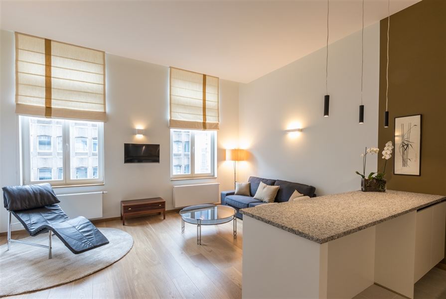 Splendid furnished apartment