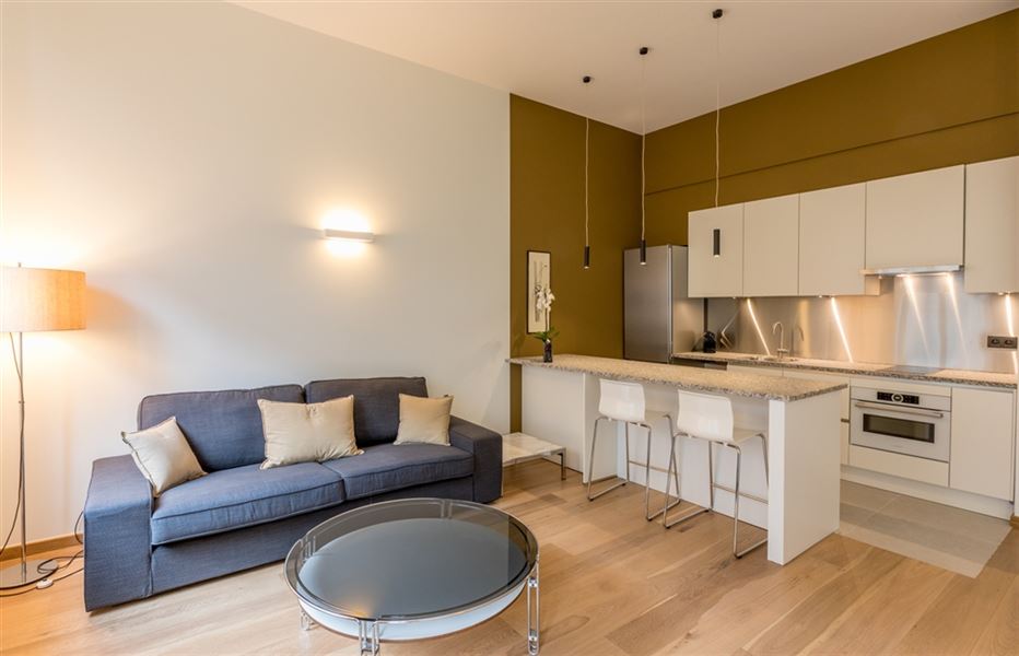 Splendid furnished apartment