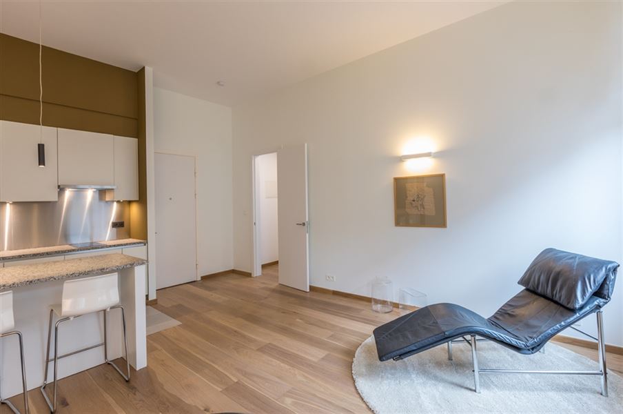 Splendid furnished apartment