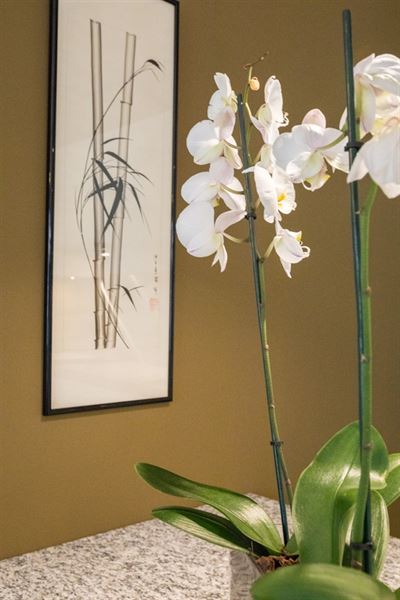 Splendid furnished apartment