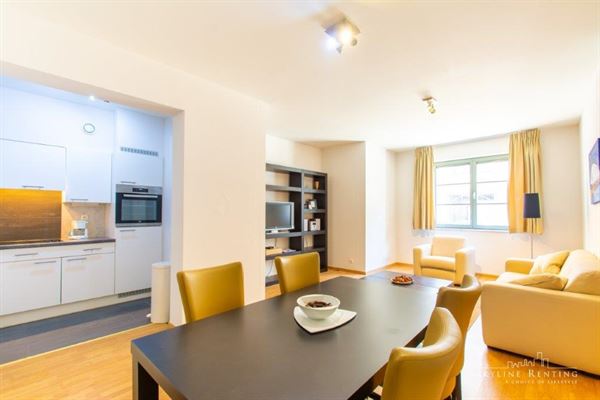 Gemeubeld appartement vlakbij de EU
