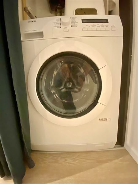 Gemeubeld appartement alle confort in de wijk van Ma Campagne