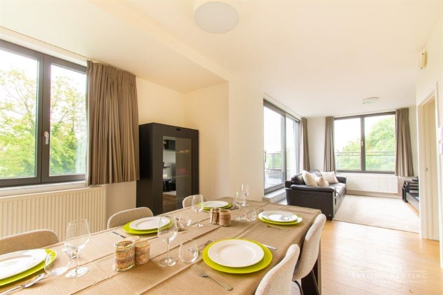 Furnished apartment Roosevelt area