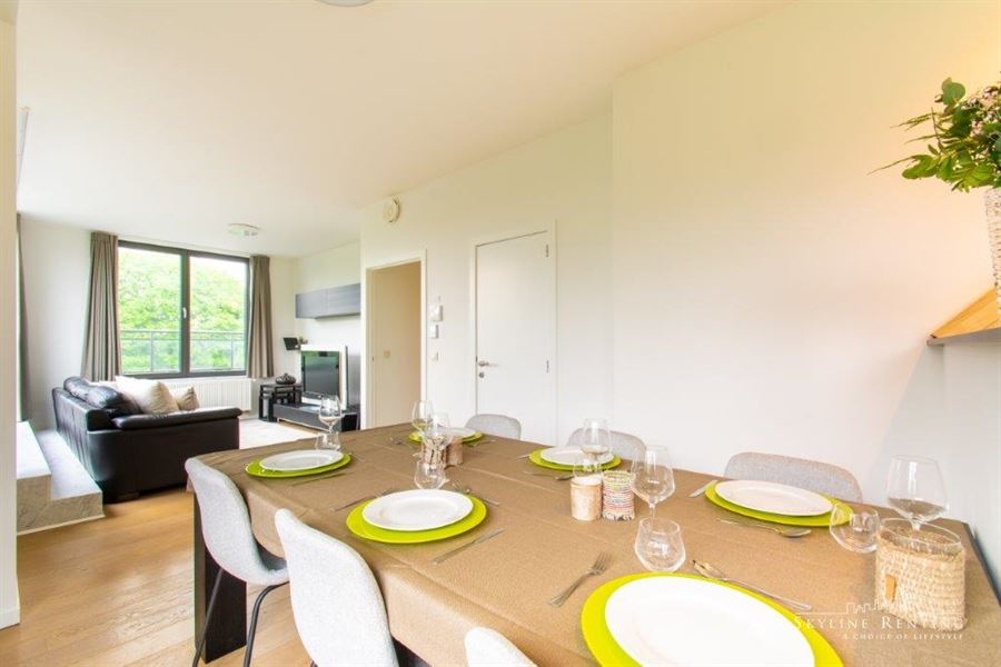 Furnished apartment Roosevelt area