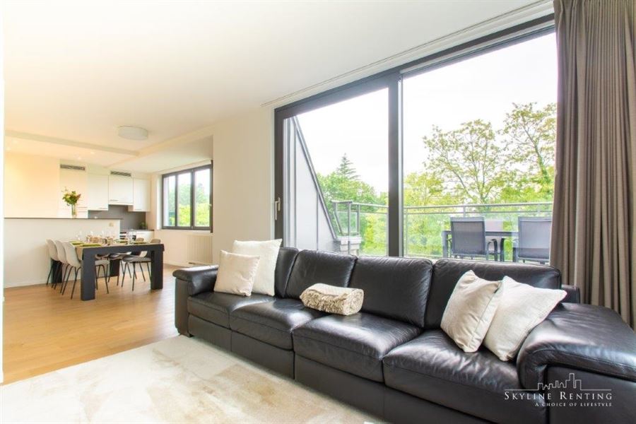 Furnished apartment Roosevelt area