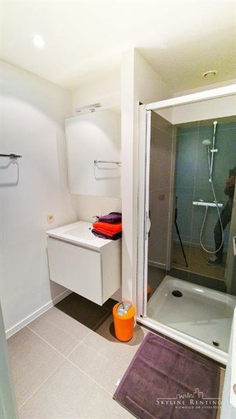 Furnished apartment Roosevelt area