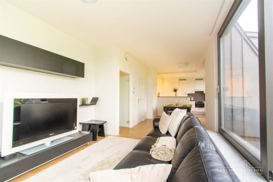Furnished apartment Roosevelt area