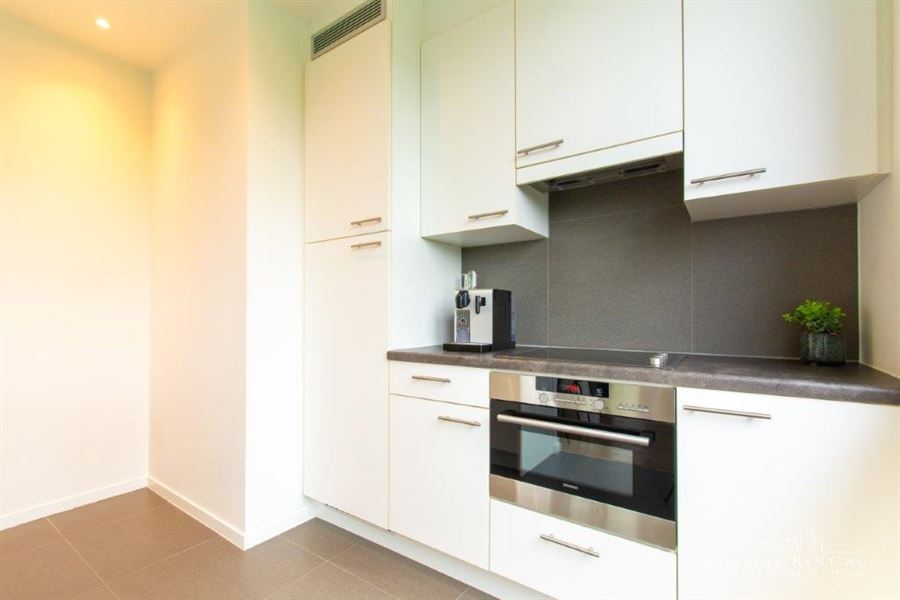 Furnished apartment Roosevelt area