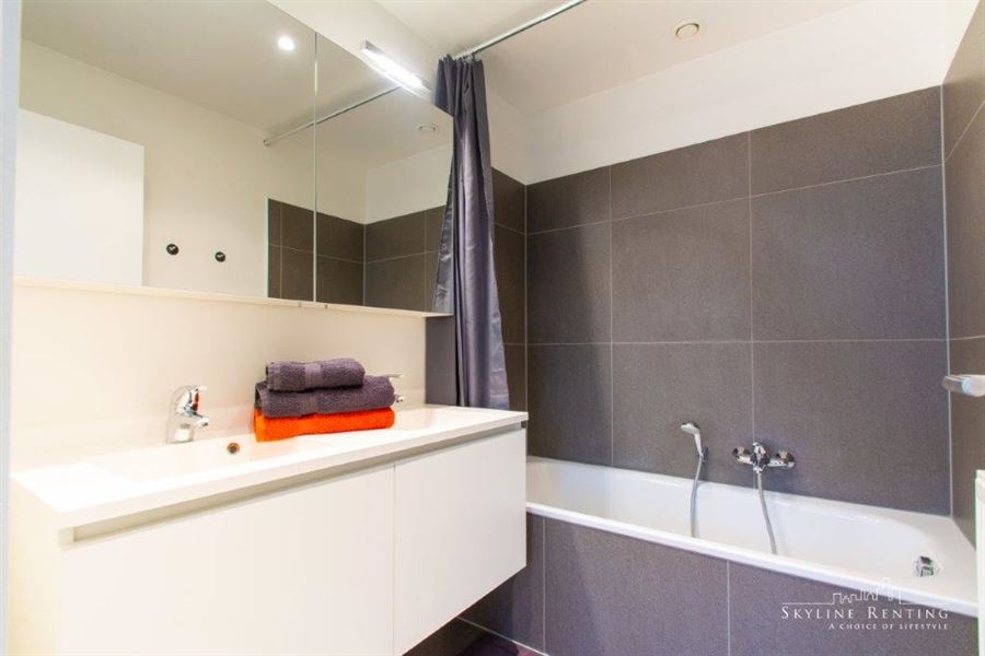 Furnished apartment Roosevelt area