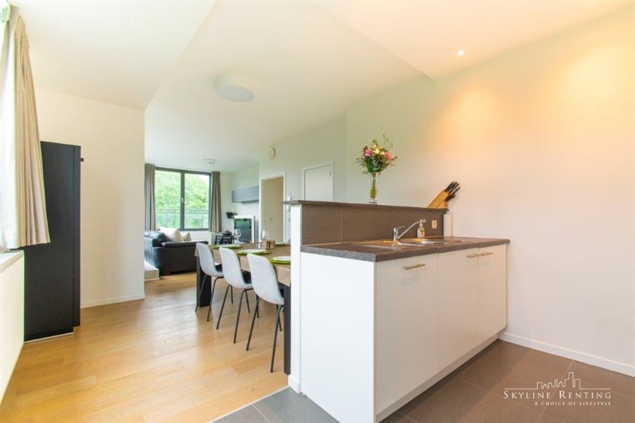 Furnished apartment Roosevelt area