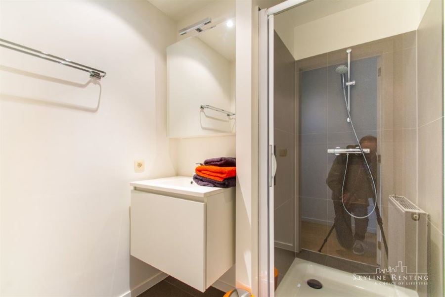 Furnished apartment Roosevelt area