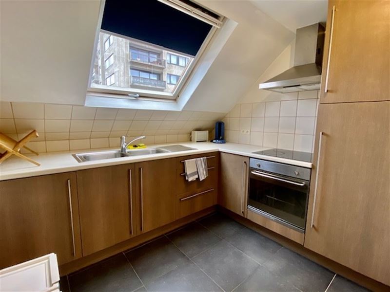 Vastgoed vennootschap ligging AAA nabij Lepoutre Châtelain