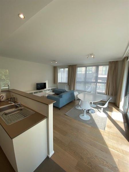 Appartement meublé quartier Roosevelt