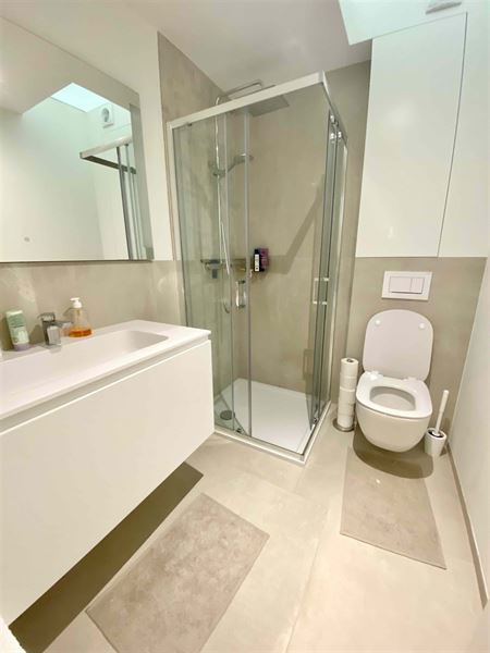 Furnished apartment a stone's throw from EU