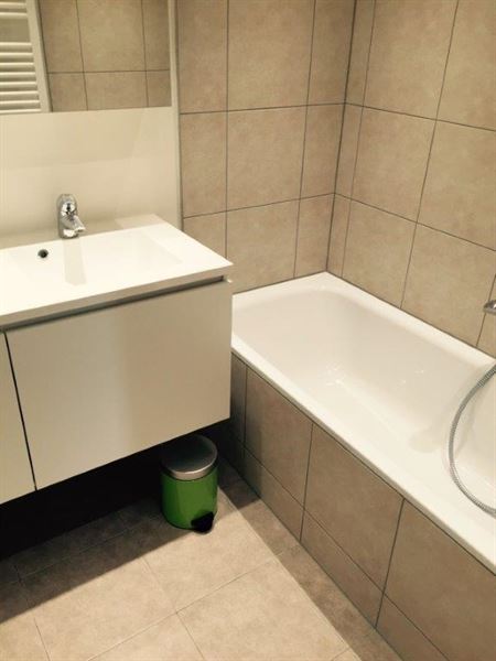 Appartement récent meublé quartier Roosevelt