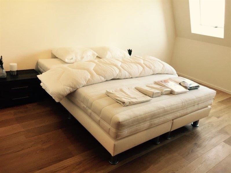 Appartement récent meublé quartier Roosevelt