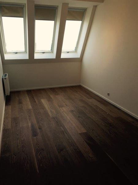 Appartement récent meublé quartier Roosevelt