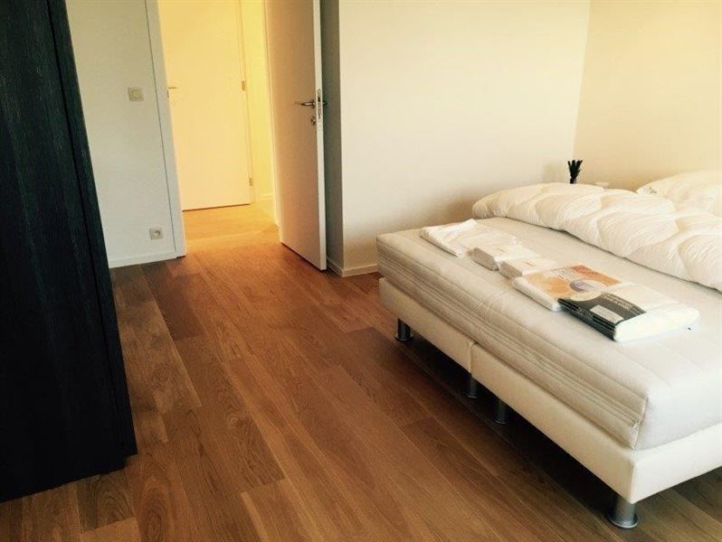 Appartement récent meublé quartier Roosevelt