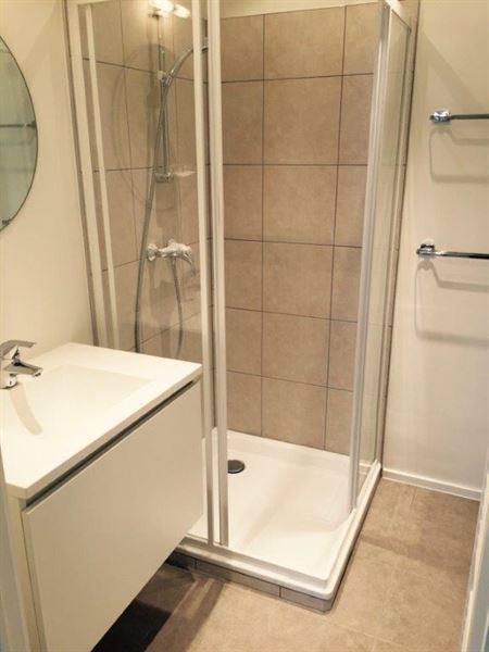 Appartement récent meublé quartier Roosevelt
