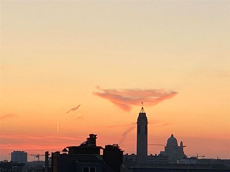 Coup de Coeur, proche Sainte Catherine. Investissement.