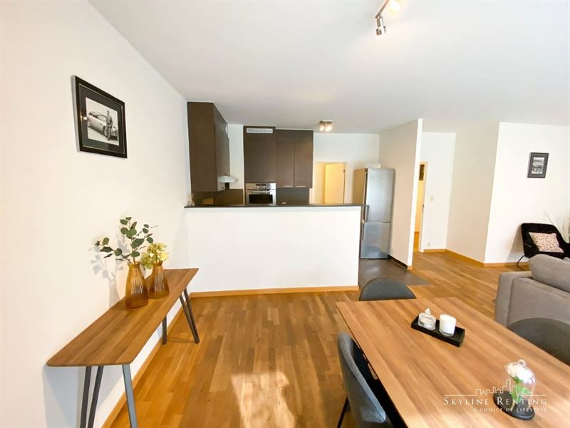 Modern furnished apartment