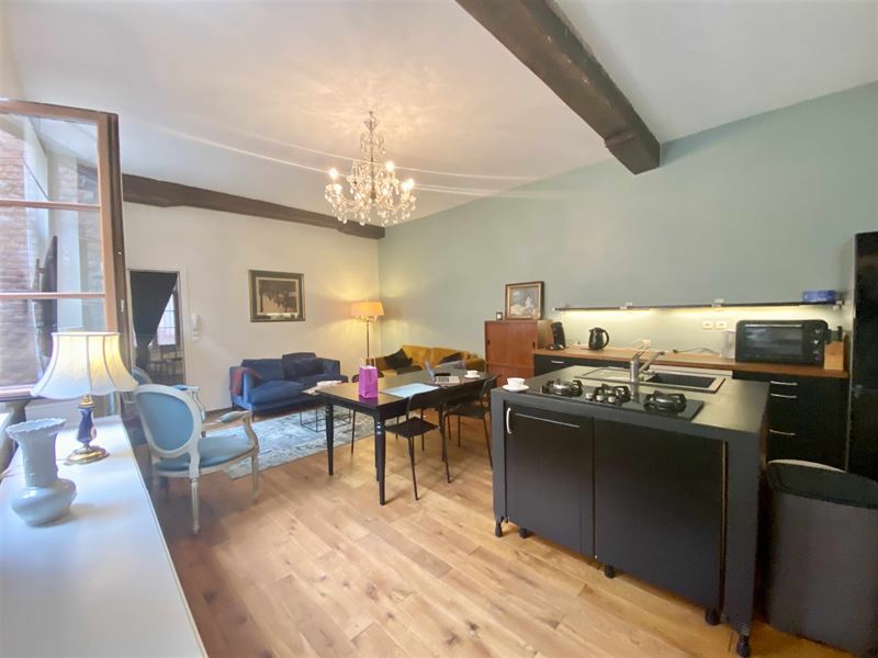 Gemeubileerd appartement vlakbij de Zavel
