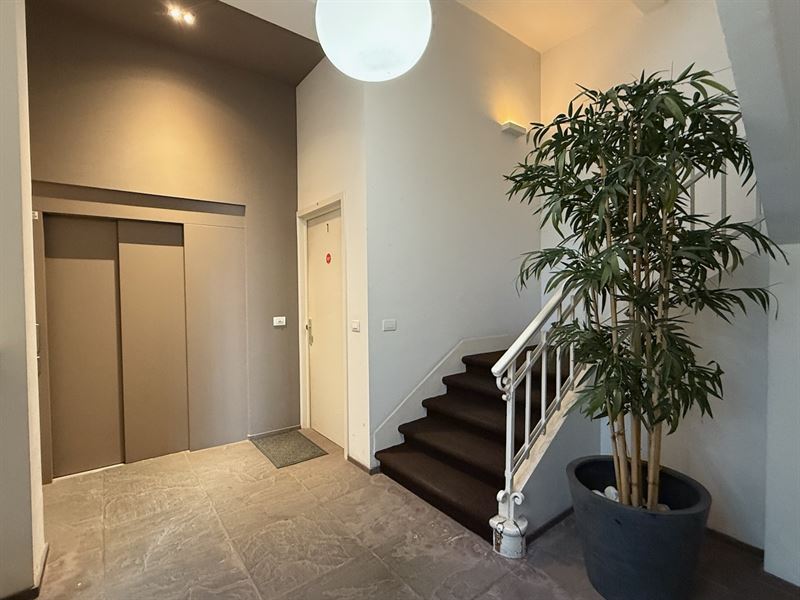 Bright one-bedroom apartment in Royal Quarter