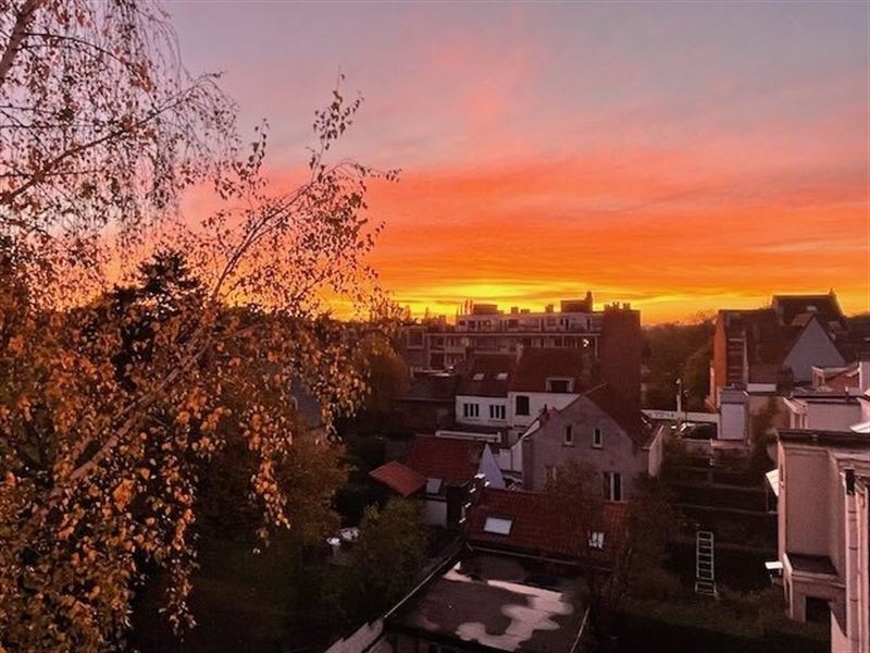 Charmant appartement 1 slpk met terras