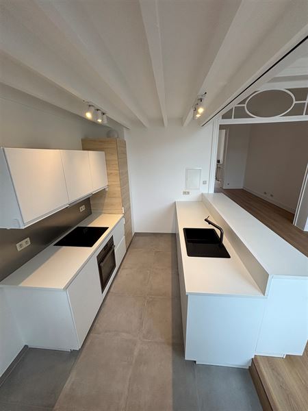 Gerenoveerde duplex tussen Louizalaan en Bascule