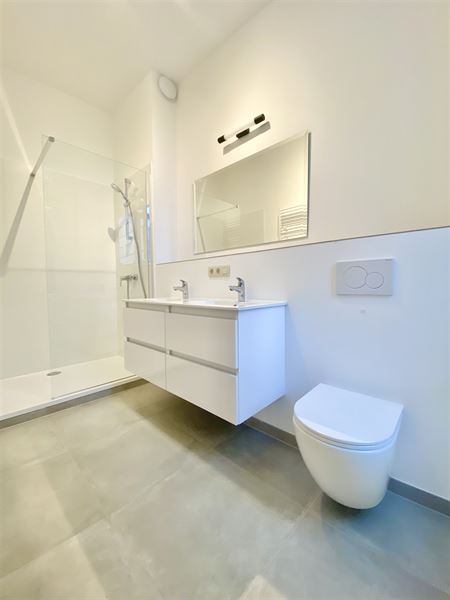 Duplex rénové entre Louise et la Bascule